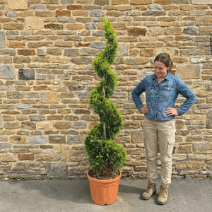 Topiary